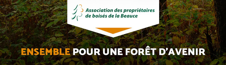 À propos de l'Association des propriétaires de boisés de la Beauce (APBB)